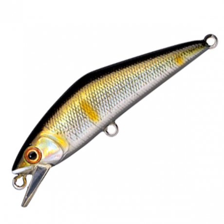 Без имени-14.jpg