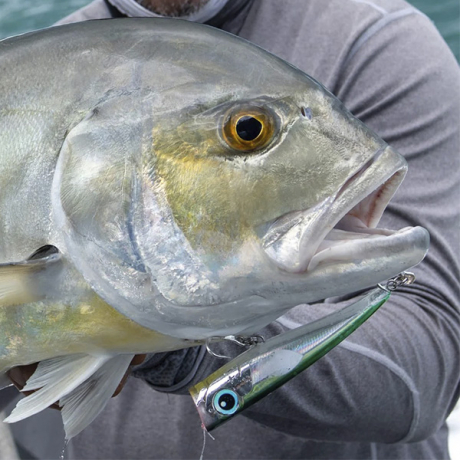 Без имени-5.jpg