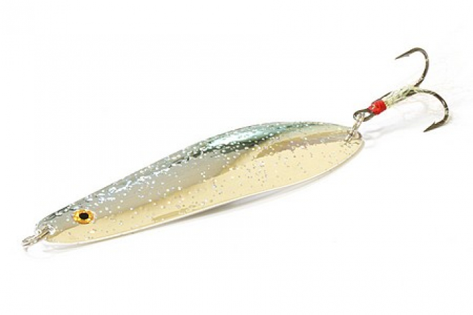 daiwa-d-spoon-silver-f-450x300.jpg